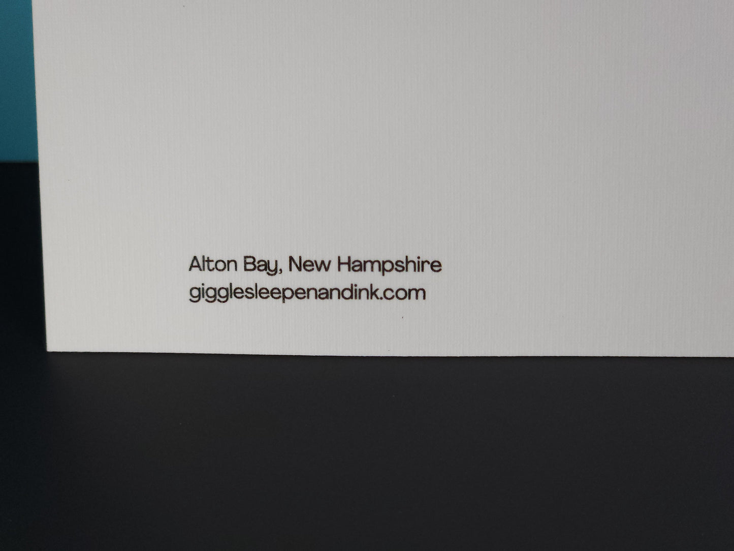 Alton Bay, NH Postcard