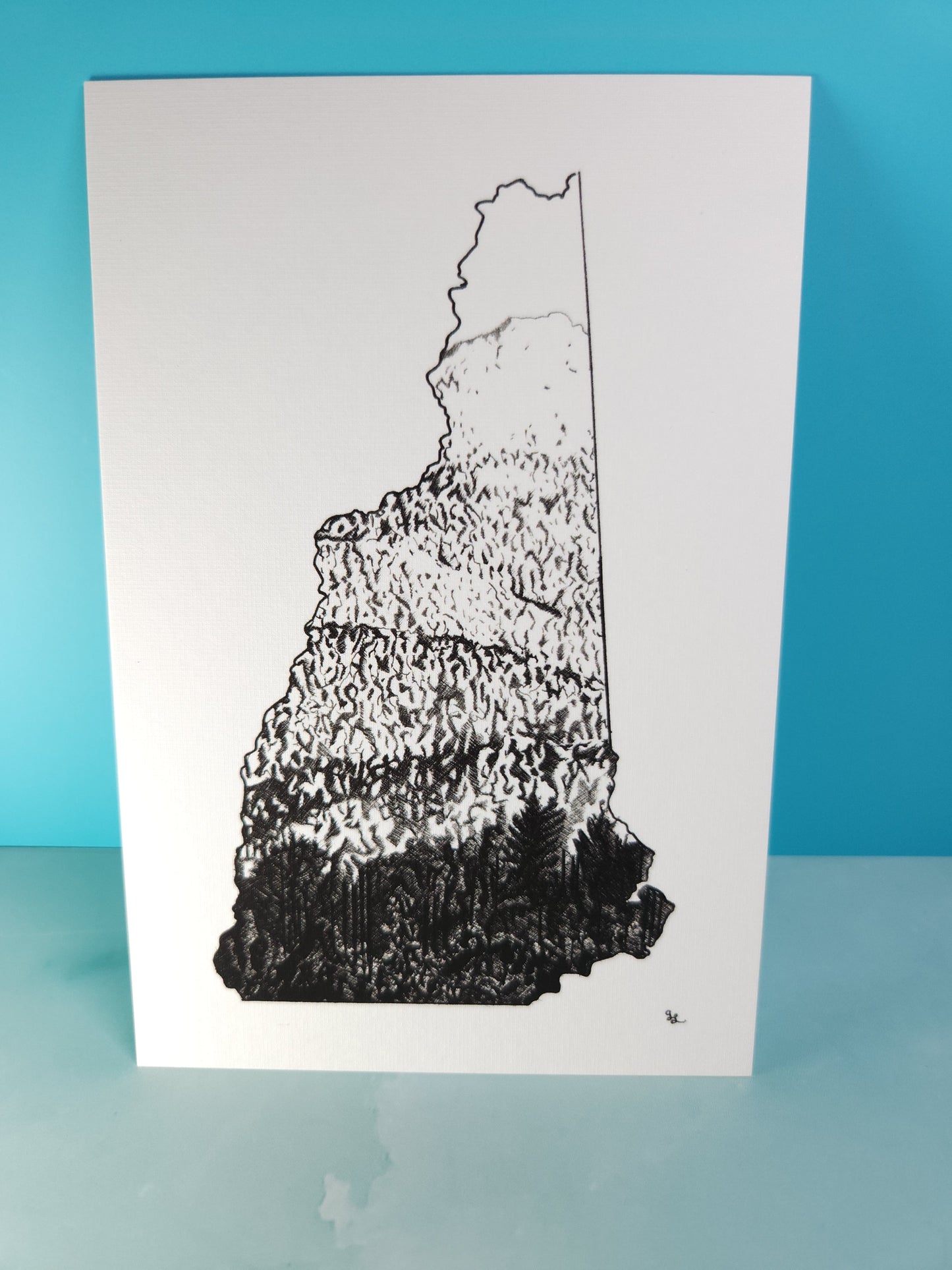 Albany, NH Postcard