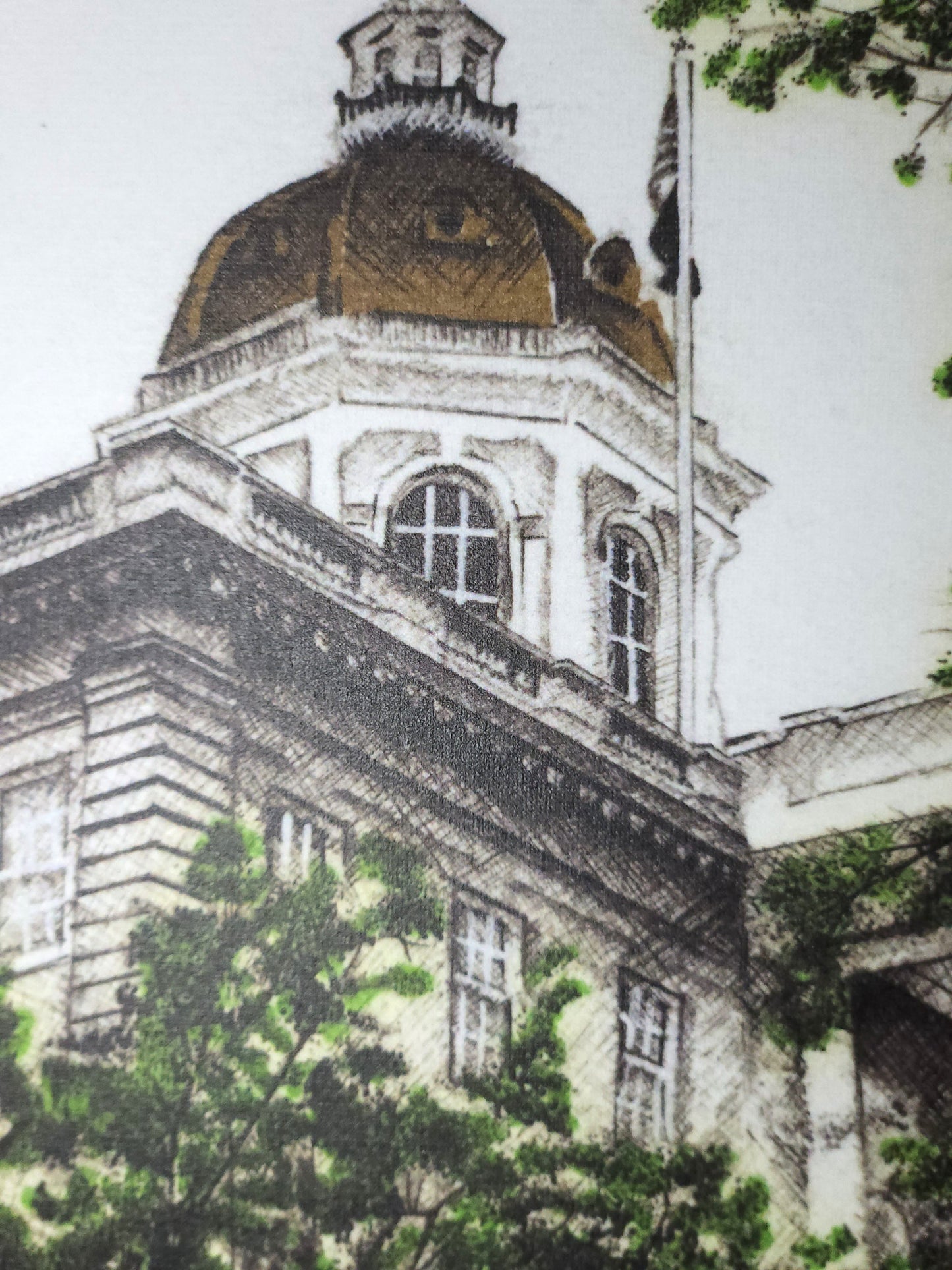 NH State House Postcard